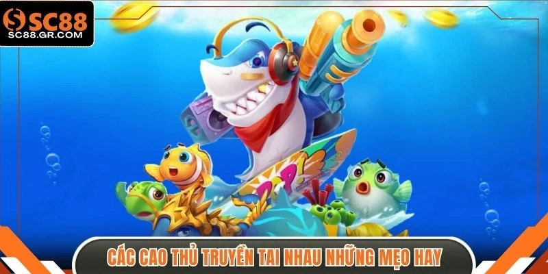 Các cao thủ truyền tai nhau những mẹo hay