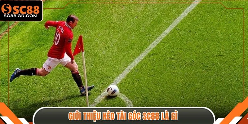Giới thiệu kèo tài góc SC88 là gì 